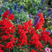 ヒメ日記 2025/09/24 11:01 投稿 りお 夜這専門発情する奥様たち 谷九店