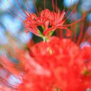 ヒメ日記 2025/09/25 10:21 投稿 りお 夜這専門発情する奥様たち 谷九店