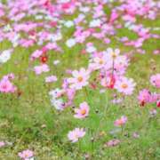 ヒメ日記 2025/09/26 10:02 投稿 りお 夜這専門発情する奥様たち 谷九店