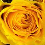 ヒメ日記 2025/09/27 09:02 投稿 りお 夜這専門発情する奥様たち 谷九店