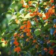 ヒメ日記 2025/09/28 10:01 投稿 りお 夜這専門発情する奥様たち 谷九店