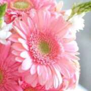 ヒメ日記 2025/09/29 10:11 投稿 りお 夜這専門発情する奥様たち 谷九店