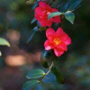 ヒメ日記 2025/10/01 10:08 投稿 りお 夜這専門発情する奥様たち 谷九店