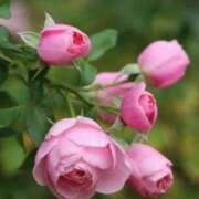 ヒメ日記 2025/10/02 10:09 投稿 りお 夜這専門発情する奥様たち 谷九店