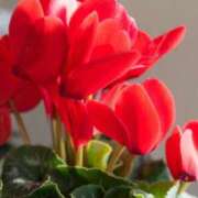 ヒメ日記 2025/10/03 10:11 投稿 りお 夜這専門発情する奥様たち 谷九店