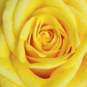 ヒメ日記 2025/10/04 09:02 投稿 りお 夜這専門発情する奥様たち 谷九店