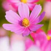 ヒメ日記 2025/10/05 10:02 投稿 りお 夜這専門発情する奥様たち 谷九店