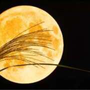 ヒメ日記 2025/10/06 08:41 投稿 りお 夜這専門発情する奥様たち 谷九店