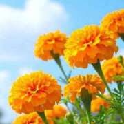 ヒメ日記 2025/10/06 10:02 投稿 りお 夜這専門発情する奥様たち 谷九店