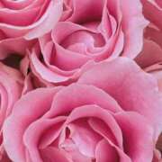 ヒメ日記 2025/10/11 09:06 投稿 りお 夜這専門発情する奥様たち 谷九店