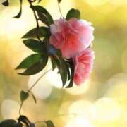 ヒメ日記 2025/10/12 10:07 投稿 りお 夜這専門発情する奥様たち 谷九店