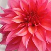 ヒメ日記 2025/10/13 10:04 投稿 りお 夜這専門発情する奥様たち 谷九店