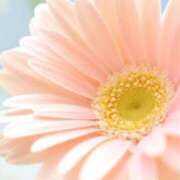 ヒメ日記 2025/10/17 10:03 投稿 りお 夜這専門発情する奥様たち 谷九店