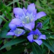 ヒメ日記 2025/10/19 09:02 投稿 りお 夜這専門発情する奥様たち 谷九店