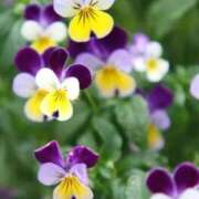 ヒメ日記 2025/10/23 10:11 投稿 りお 夜這専門発情する奥様たち 谷九店