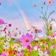 ヒメ日記 2025/10/25 10:22 投稿 りお 夜這専門発情する奥様たち 谷九店