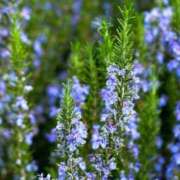 ヒメ日記 2025/10/26 10:02 投稿 りお 夜這専門発情する奥様たち 谷九店