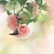 ヒメ日記 2025/10/28 10:02 投稿 りお 夜這専門発情する奥様たち 谷九店