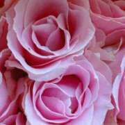 ヒメ日記 2025/10/29 09:02 投稿 りお 夜這専門発情する奥様たち 谷九店