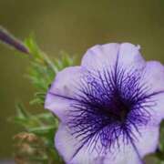 ヒメ日記 2025/10/30 10:02 投稿 りお 夜這専門発情する奥様たち 谷九店