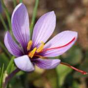 ヒメ日記 2025/10/31 10:02 投稿 りお 夜這専門発情する奥様たち 谷九店