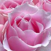 ヒメ日記 2025/11/01 09:02 投稿 りお 夜這専門発情する奥様たち 谷九店