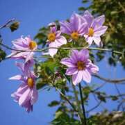 ヒメ日記 2025/11/02 10:02 投稿 りお 夜這専門発情する奥様たち 谷九店