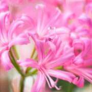 ヒメ日記 2025/11/03 09:11 投稿 りお 夜這専門発情する奥様たち 谷九店