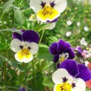 ヒメ日記 2025/11/04 10:02 投稿 りお 夜這専門発情する奥様たち 谷九店