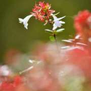 ヒメ日記 2025/11/05 10:02 投稿 りお 夜這専門発情する奥様たち 谷九店