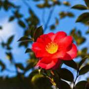 ヒメ日記 2025/11/06 10:08 投稿 りお 夜這専門発情する奥様たち 谷九店