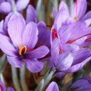 ヒメ日記 2025/11/07 10:02 投稿 りお 夜這専門発情する奥様たち 谷九店