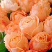 ヒメ日記 2025/11/08 09:09 投稿 りお 夜這専門発情する奥様たち 谷九店