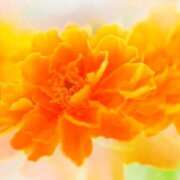 ヒメ日記 2025/11/10 10:13 投稿 りお 夜這専門発情する奥様たち 谷九店