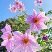 ヒメ日記 2025/11/13 10:02 投稿 りお 夜這専門発情する奥様たち 谷九店