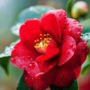 ヒメ日記 2025/11/14 10:02 投稿 りお 夜這専門発情する奥様たち 谷九店