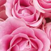 ヒメ日記 2025/11/15 09:01 投稿 りお 夜這専門発情する奥様たち 谷九店