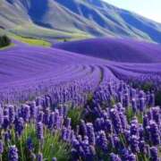 ヒメ日記 2025/11/16 10:01 投稿 りお 夜這専門発情する奥様たち 谷九店