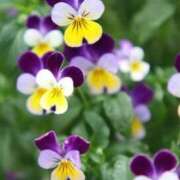 ヒメ日記 2025/11/18 10:11 投稿 りお 夜這専門発情する奥様たち 谷九店