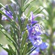 ヒメ日記 2025/11/20 10:02 投稿 りお 夜這専門発情する奥様たち 谷九店