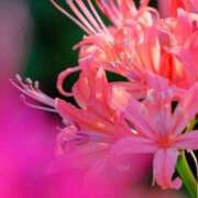 ヒメ日記 2025/11/24 10:02 投稿 りお 夜這専門発情する奥様たち 谷九店