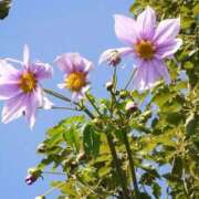 ヒメ日記 2025/11/25 10:02 投稿 りお 夜這専門発情する奥様たち 谷九店