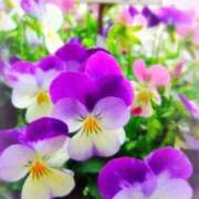 ヒメ日記 2025/11/27 10:02 投稿 りお 夜這専門発情する奥様たち 谷九店