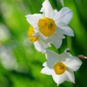 ヒメ日記 2025/11/28 10:02 投稿 りお 夜這専門発情する奥様たち 谷九店