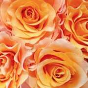 ヒメ日記 2025/11/29 09:02 投稿 りお 夜這専門発情する奥様たち 谷九店