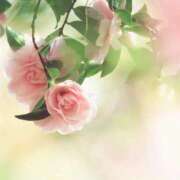 ヒメ日記 2025/11/30 10:11 投稿 りお 夜這専門発情する奥様たち 谷九店