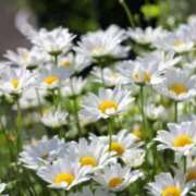 ヒメ日記 2025/12/02 10:21 投稿 りお 夜這専門発情する奥様たち 谷九店