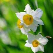 ヒメ日記 2025/12/07 10:02 投稿 りお 夜這専門発情する奥様たち 谷九店