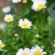 ヒメ日記 2025/12/09 10:01 投稿 りお 夜這専門発情する奥様たち 谷九店