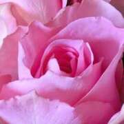 ヒメ日記 2025/12/13 09:01 投稿 りお 夜這専門発情する奥様たち 谷九店